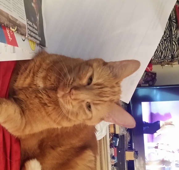 Meet your Posher, Andrea - Picture 1 of 1